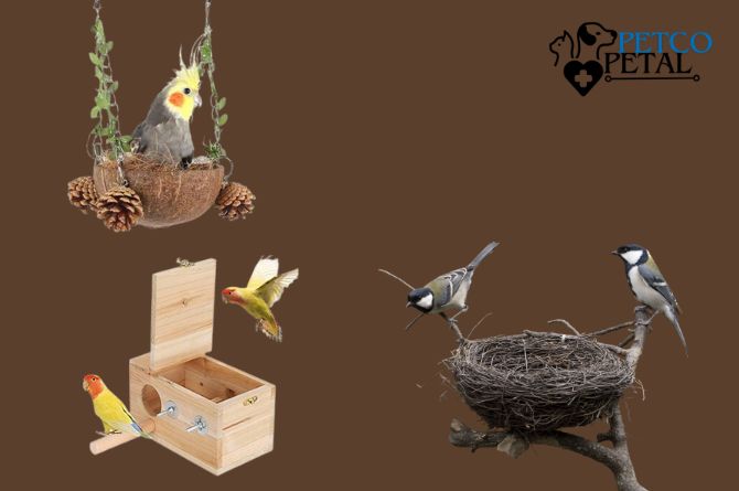 Bird Breeding Equipment for Experienced Breeders`