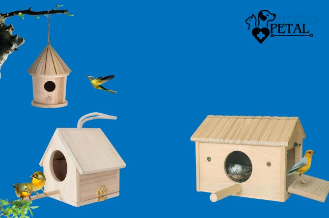 Advanced Bird Breeding Equipment: