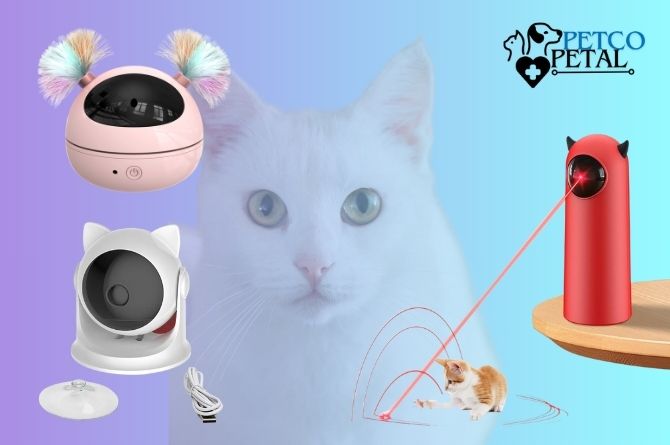 Automatic Laser Toy