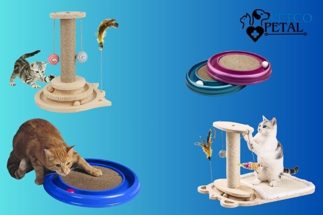 Bergan Turbo Scratcher with Catnip