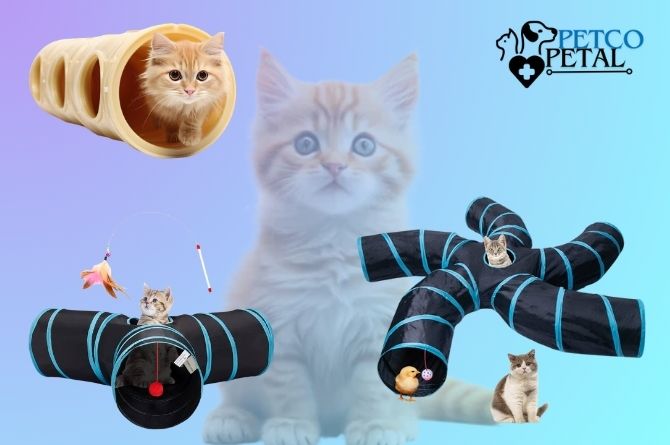 Cat Tunnel Toy