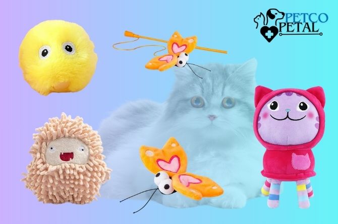 Catnip Plush Toy