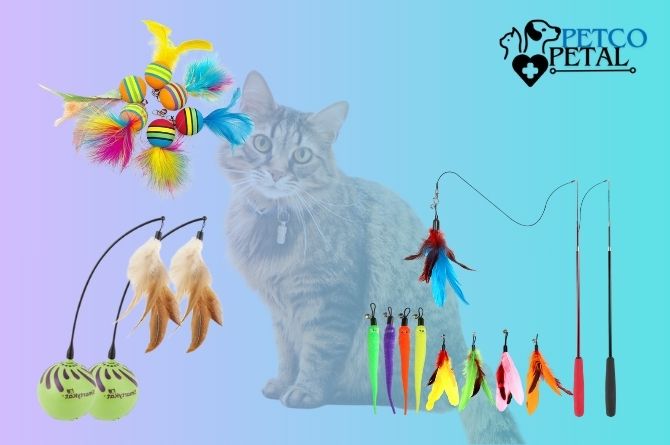 Feather Wand Toy