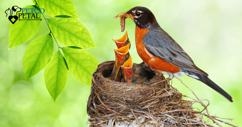 Feeding and Nurturing Newborn Birds