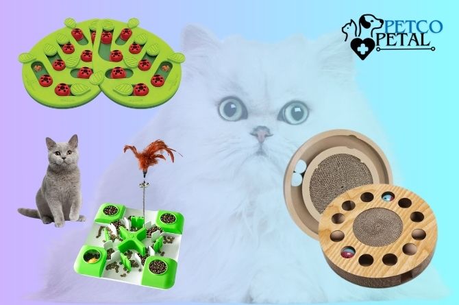 Interactive Puzzle Toy