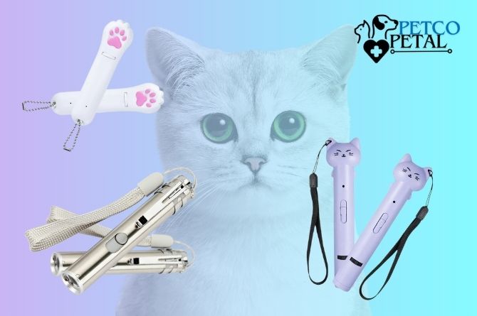 Laser Pointer Toy
