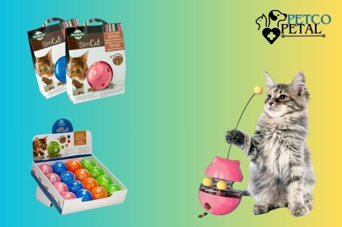 PetSafe SlimCat Interactive Toy