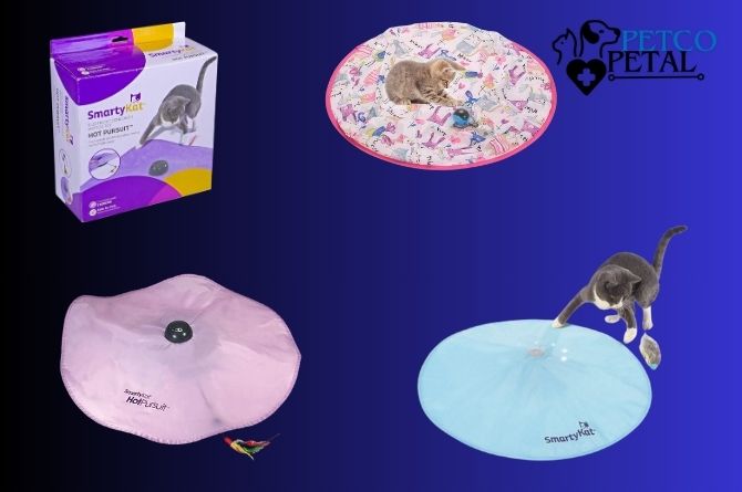 SmartyKat Hot Pursuit Cat Toy