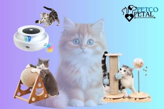 Top-10-Best-Cat-Toys-in-USA-2024