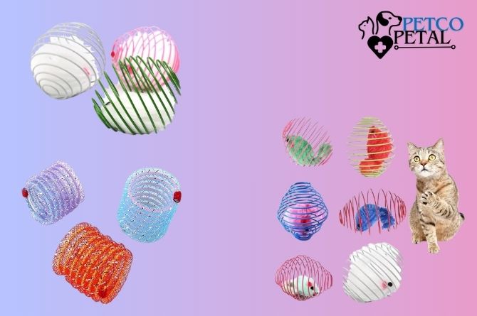 Best Large and Colorful Spring Cat Toy