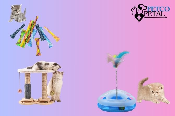 Large and Colorful Spring Cat Toy