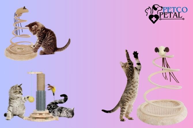 Large and Colorful Spring Cat Toy