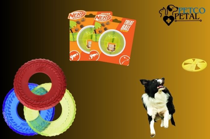 Nerf Dog Fire Hose Tire Flyer Dog Toy Review