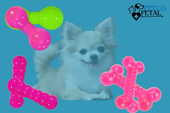 Ruff Dawg Fire Hose Blaster Dog Toy Review