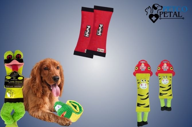 top 5 fire hose dog toy reviews 2024