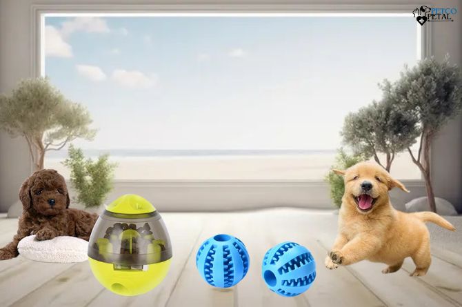 Pet Zone IQ Treat Ball