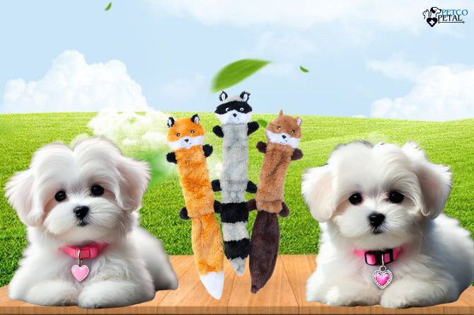  ZippyPaws Skinny Peltz – Top Plush Toy for Small Dogs